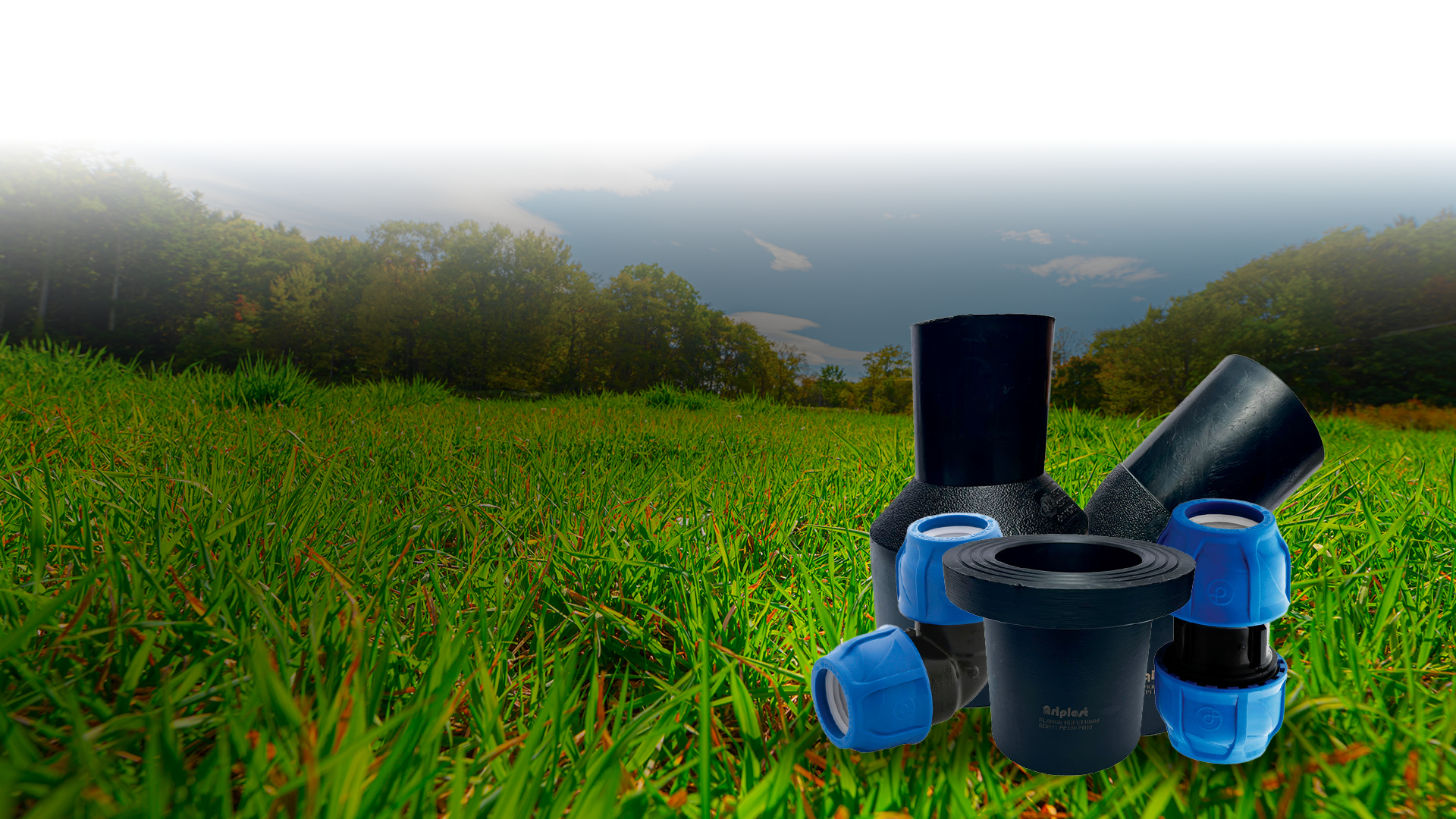 Inicio PRODUCTOS 6 2