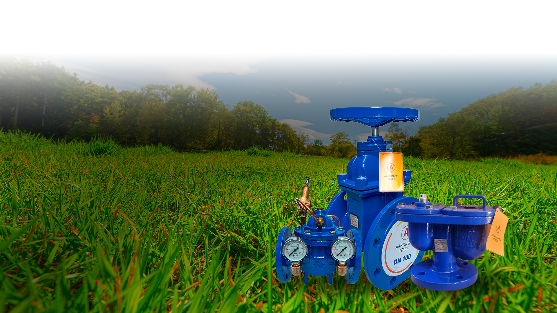 Inicio PRODUCTOS 1 4